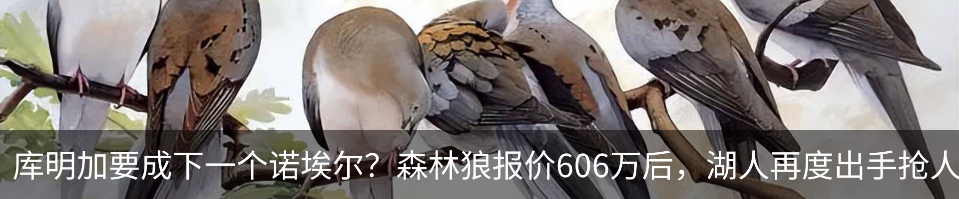 行业资讯
