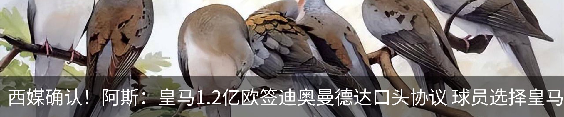 行业资讯